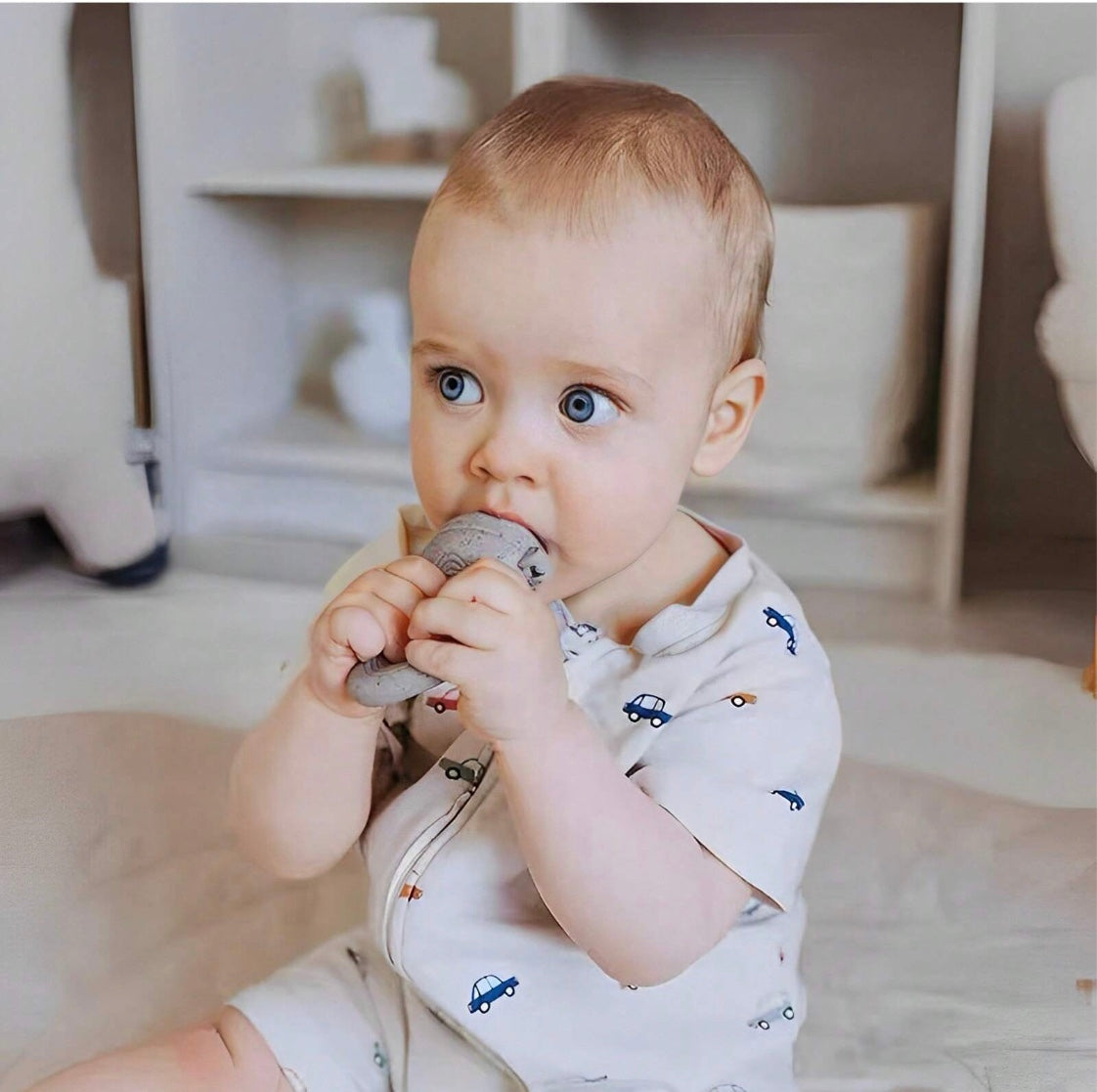 Baby Fruit Dummys